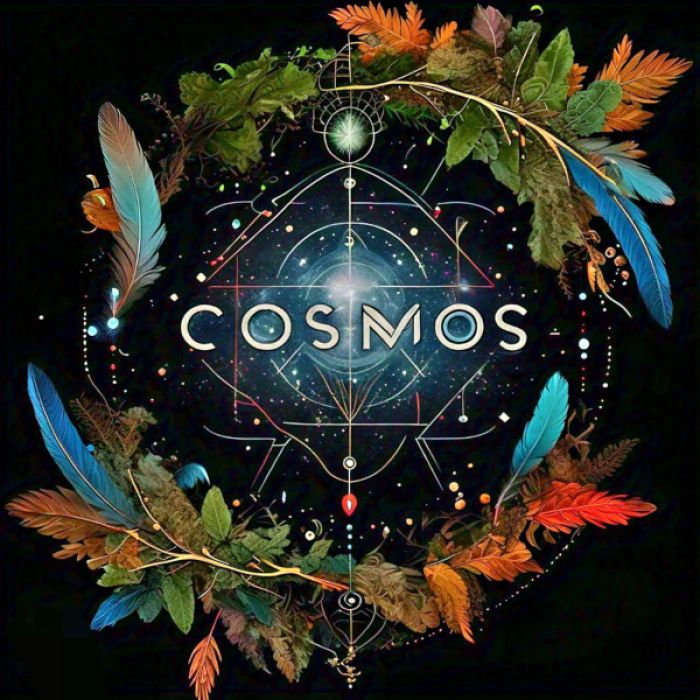 Cosmos