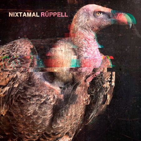 Rüppell
